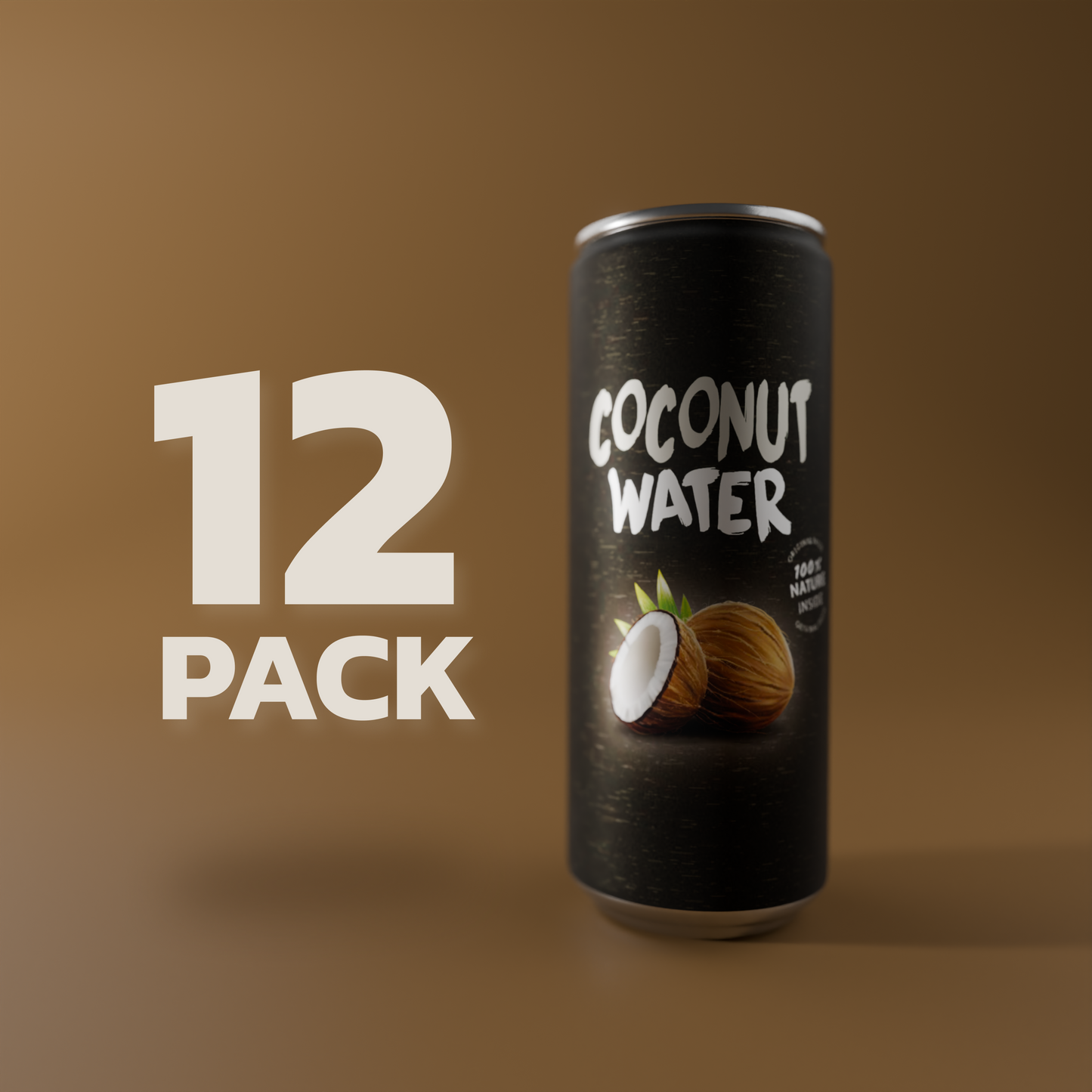 12-Pack 100% Kokosnusswasser