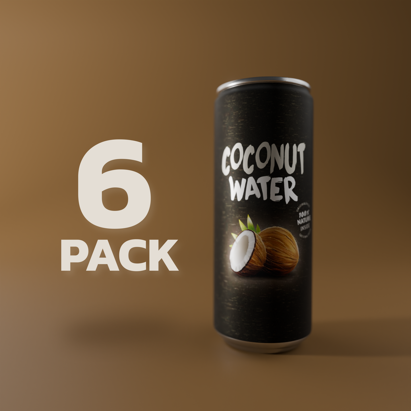 6-Pack 100% Kokosnusswasser